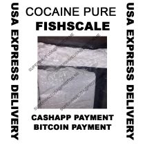 Cocaine Pure Fishscale